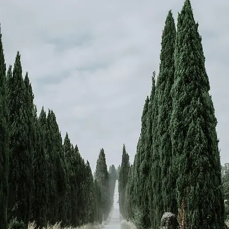 Casa vacanze The Garden House Castelfiorentino