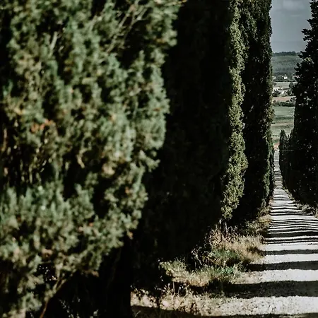 The Garden House * Castelfiorentino